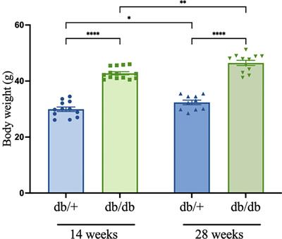 In vivo retinal imaging is associated with cognitive decline, blood-brain barrier disruption and neuroinflammation in type 2 diabetic mice